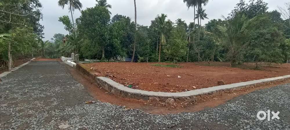 Angamaly near Pulyanam 5,6,8,10, cent plots available