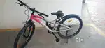 High quality BSA cycle - Smooth ride