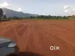 പാലക്കാട് കഞ്ചിക്കോട് premium പ്ലോട്ട് വില്പനയ്ക്