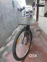 Ladybird Bicycle
