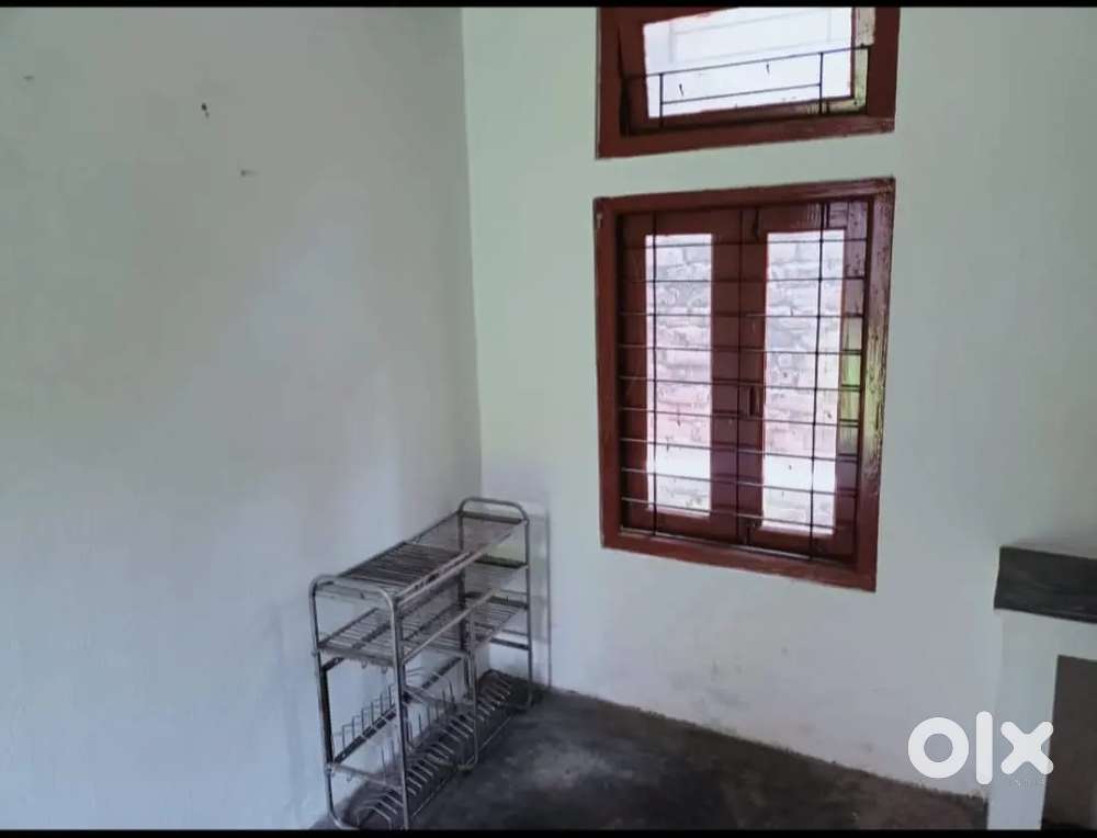 Single Room for Rent