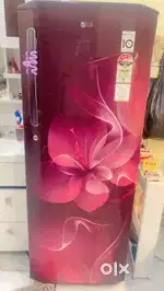 LG Interver Frigde New Condtion