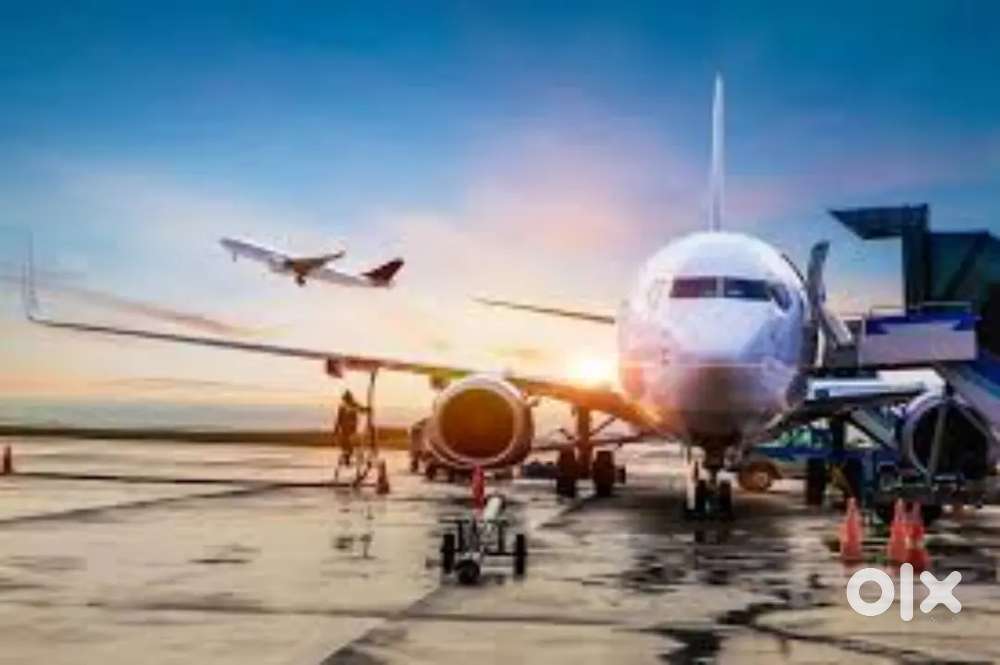 Indigo Airlines jobs /Vacancy for Airport Ground staf / Driver / Crew