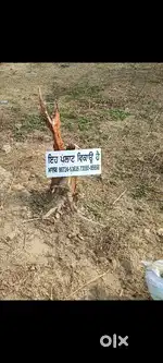 14 marle plot urgent sale near skyrig palace