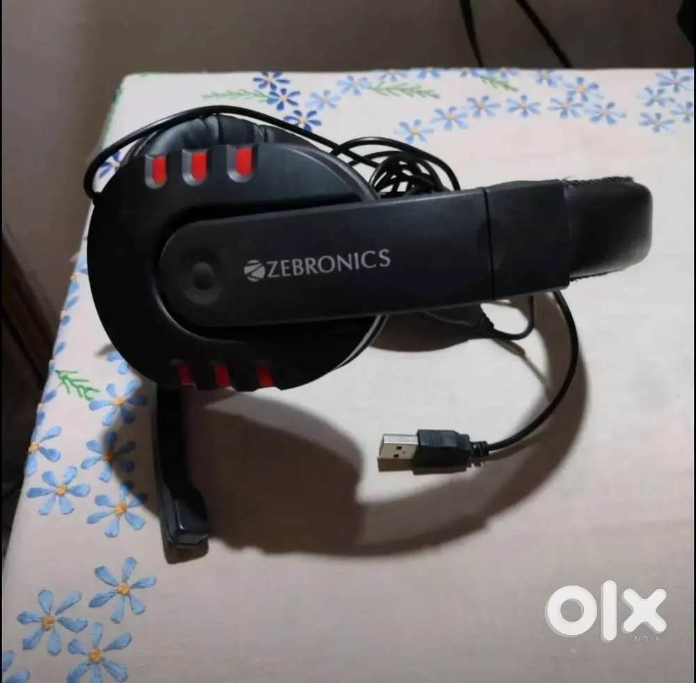 Zebronics Headphones with Mic
