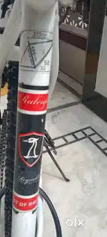 Raleigh cycle