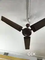 Celing fan 48