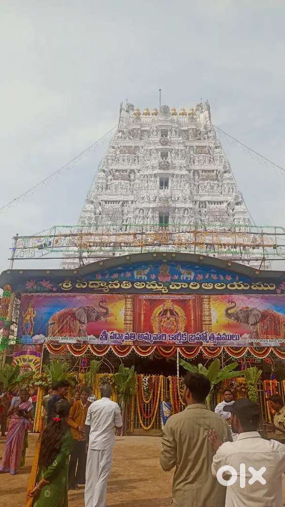 గోవింద భజనలకు బృందం కావాలి