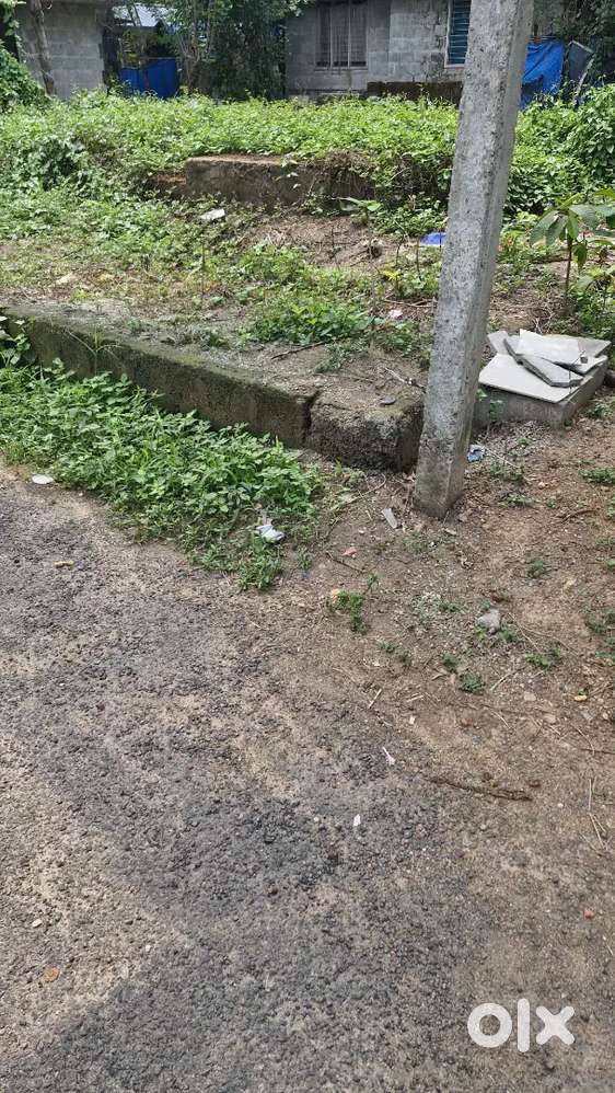 3.700cent house plot for sale mannam thathappilly road