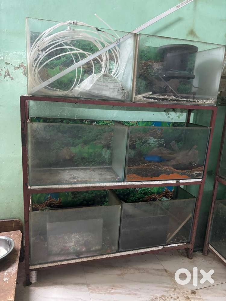 Fishtanks set
