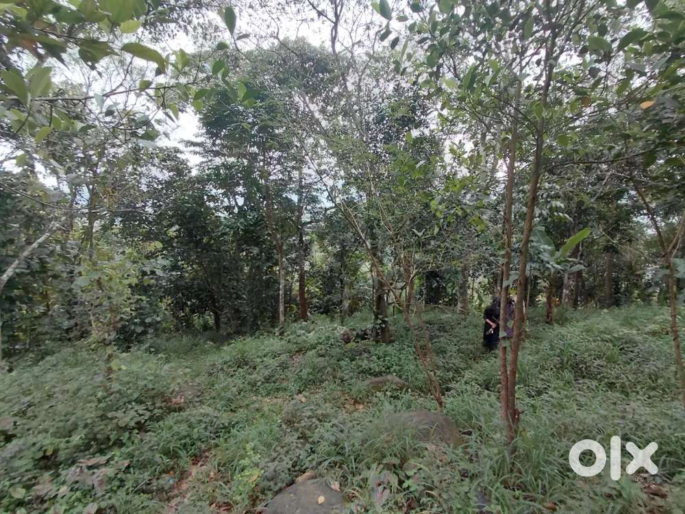 Property for Sale - Kattappana, Suvarnagiri IT Junction Area