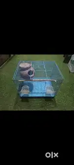 Birds cage with accessories