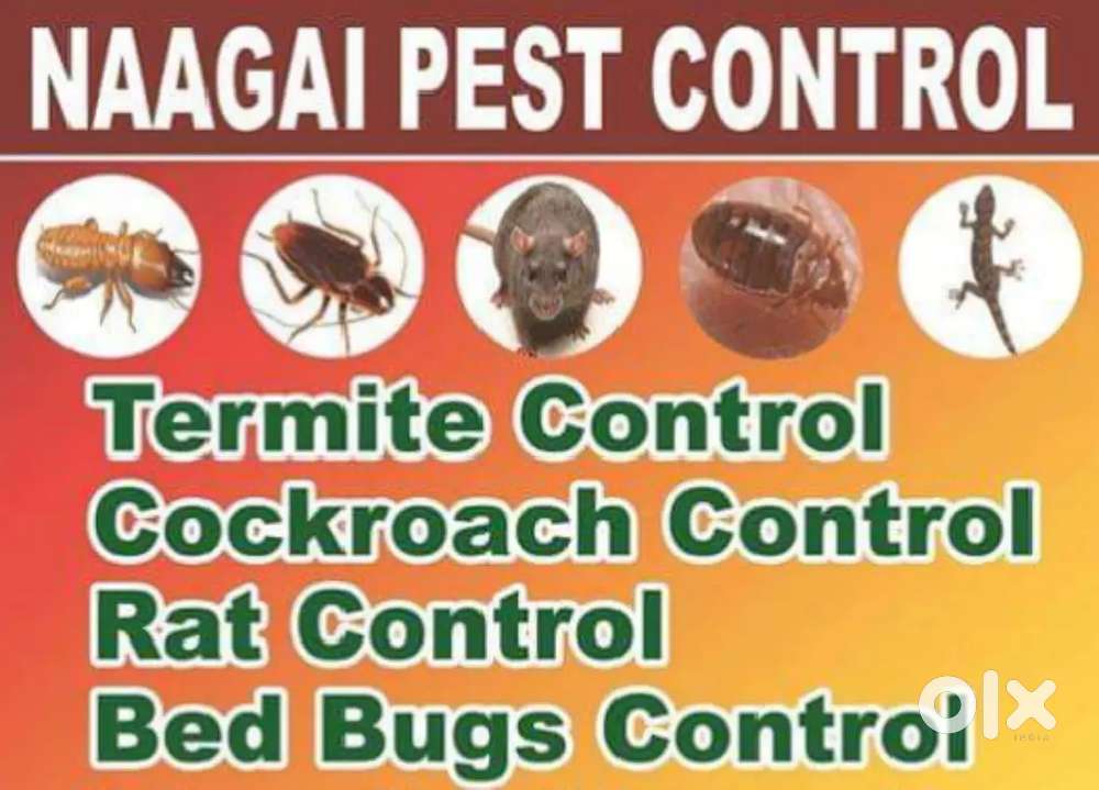 Need helper per day salary Rs 500/-