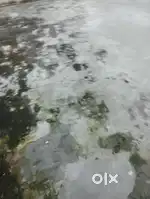 1 floor for rent