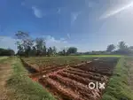 60 laks Urgent sale 1 acre land for sale in karur at bestprice