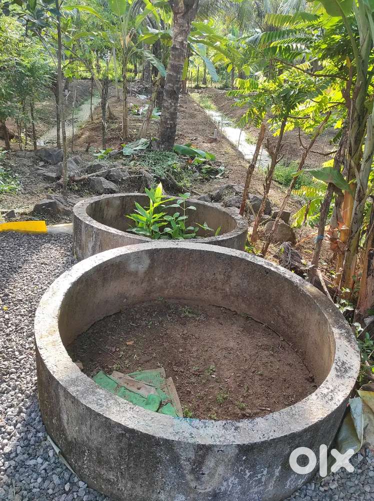 Cement ring