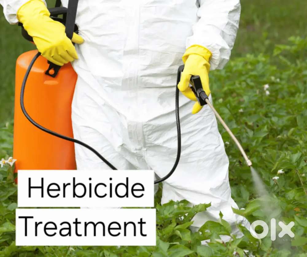 Grown bush and grass cutting service 299 per hour