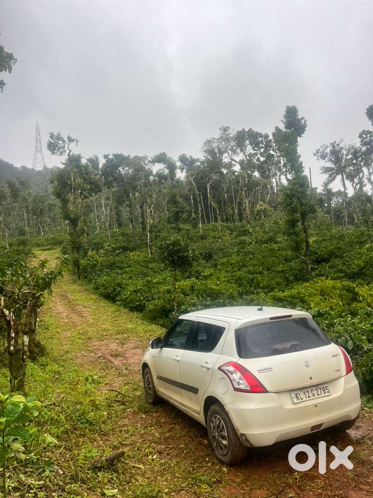 Wayanad tirunelli panjayath  3 acre well maintained cofee land selling