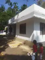 Pachapoika