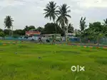 NEW PLOTS ON REDHILLS  KARNODAI LOW BUDGET