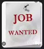 Helper jobs available in warehouse or showroom