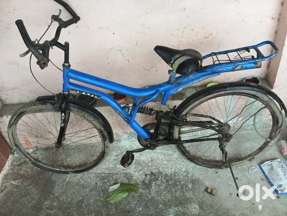 Avon Brand Cycle