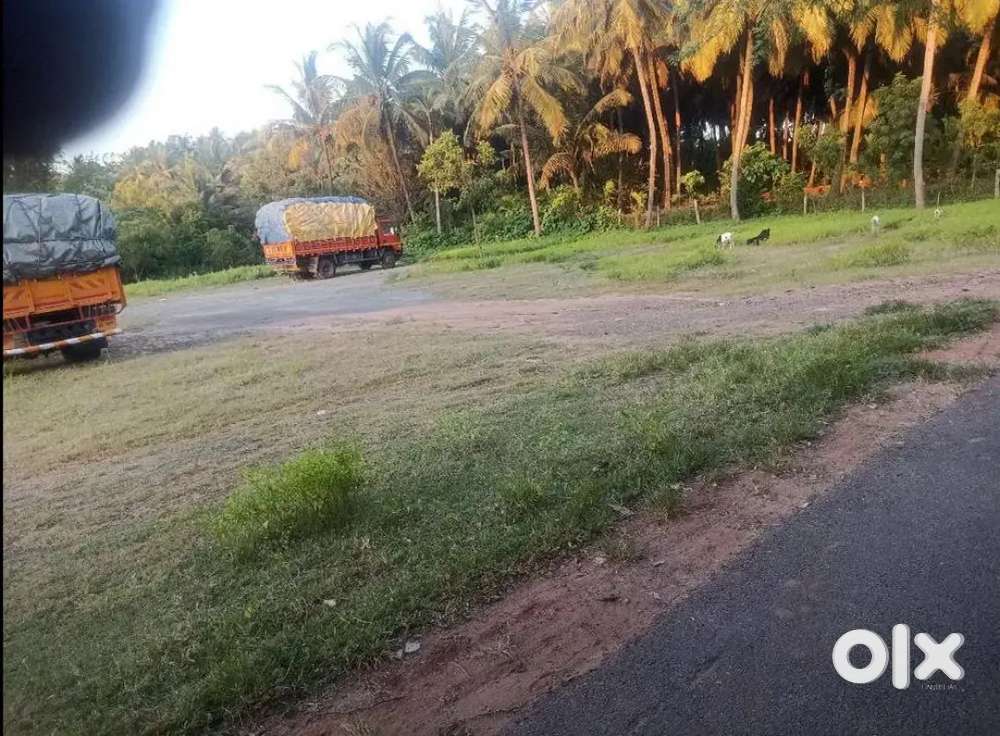 40 cent plot for sale