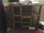 Birds cage