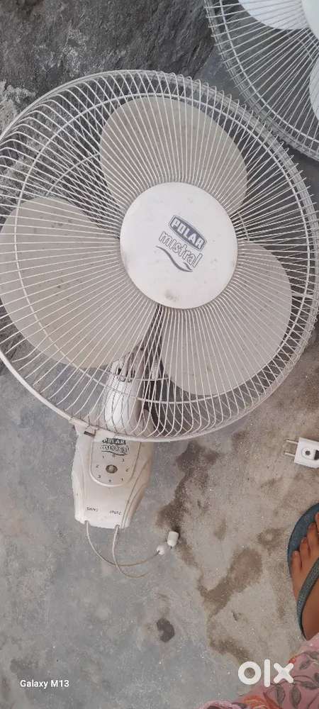 polar wall fan