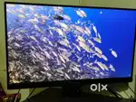 Good Condition BenQ Monitor