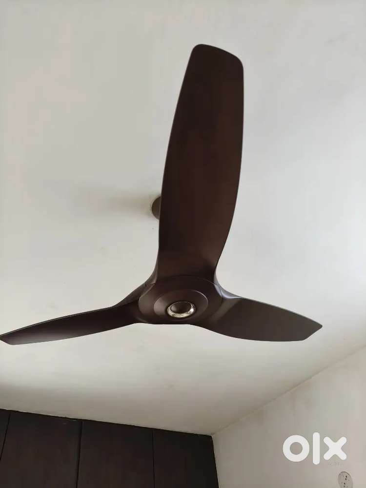 Orient Aeroquiet Premium Silent Ceiling Fan