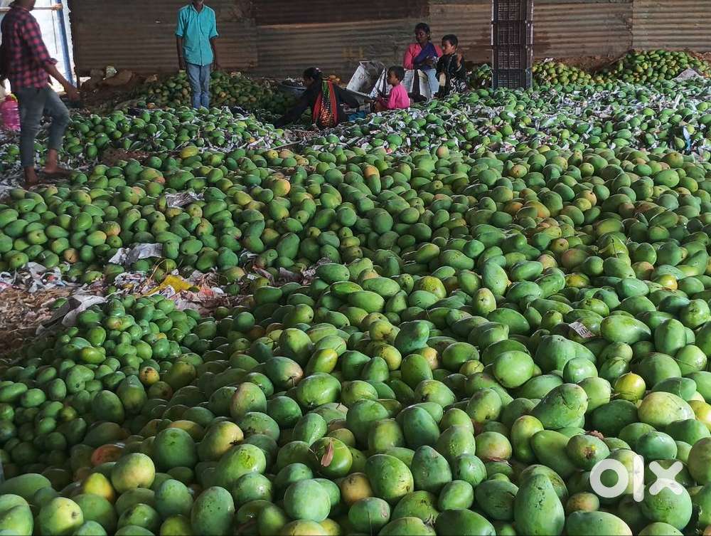 Agricultural land for sale