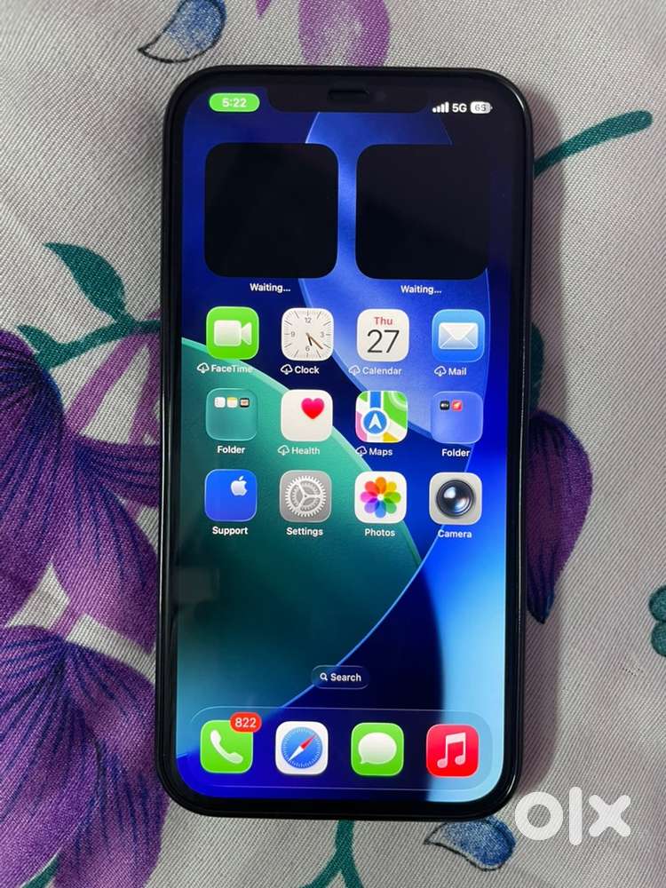 Iphone 12 pro max, 256gb Storage