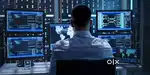 Junior network engineer