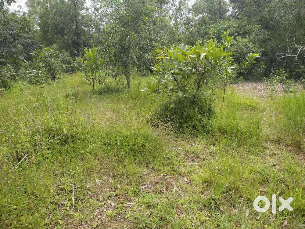 78 cents land for sale Manipal to hiriyadka road