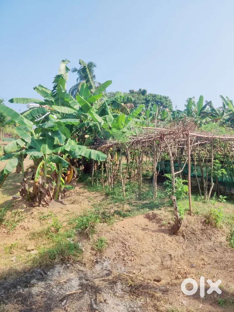 Residential site for sale