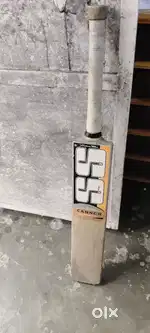 SS cricket bat
