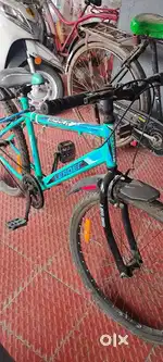 Brand new cycle