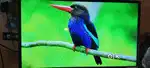 32 inch Samsung Smart TV – Excellent Picture & Sound