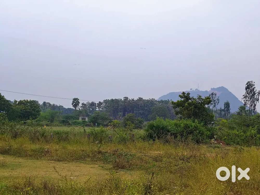 Low price nd best investment