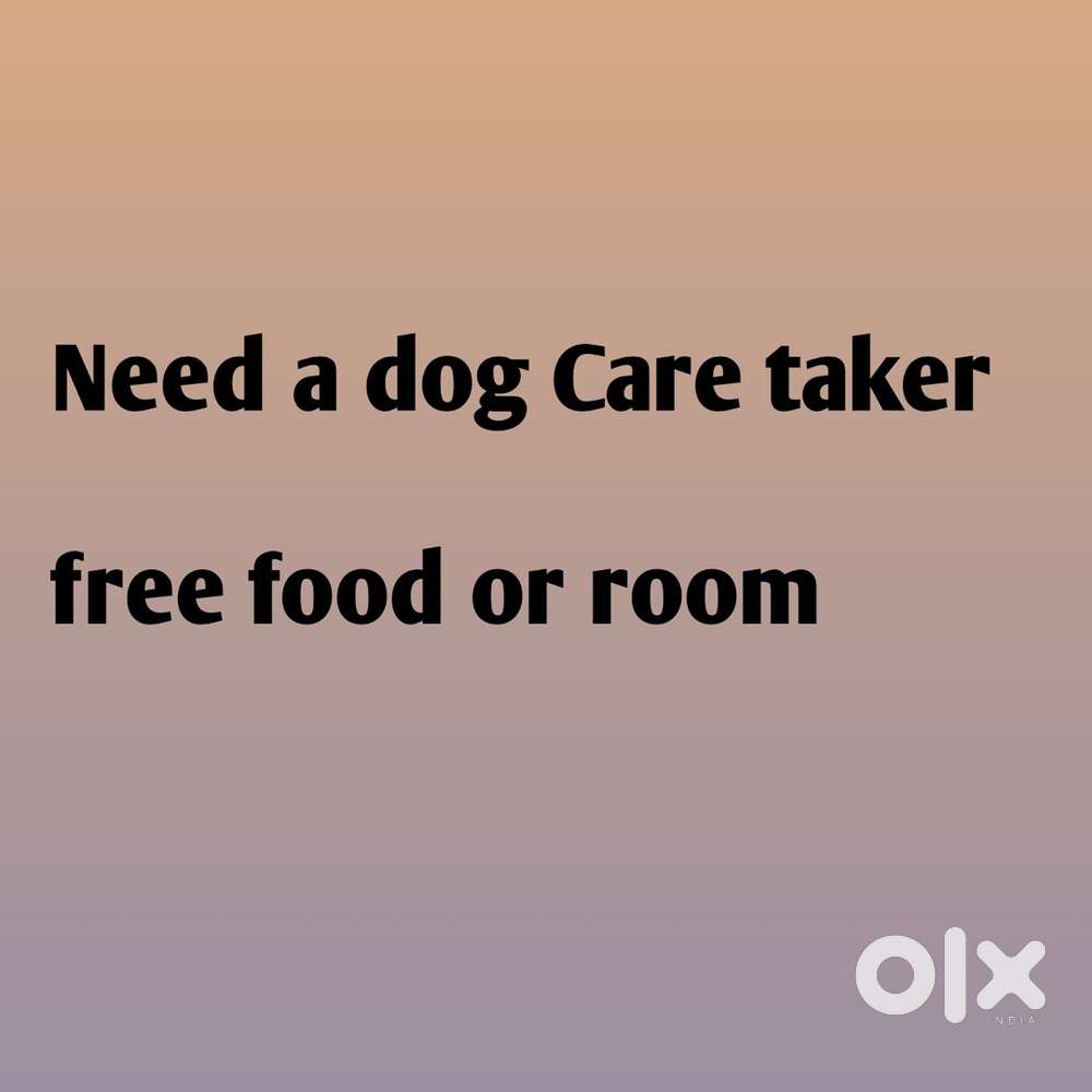 Need dog care taker