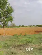 12acre land gudibanda Road