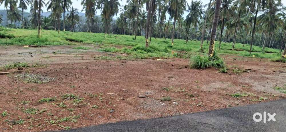 9 Cent Residential Plot for Sale at Viyyakurissi, Palakkad