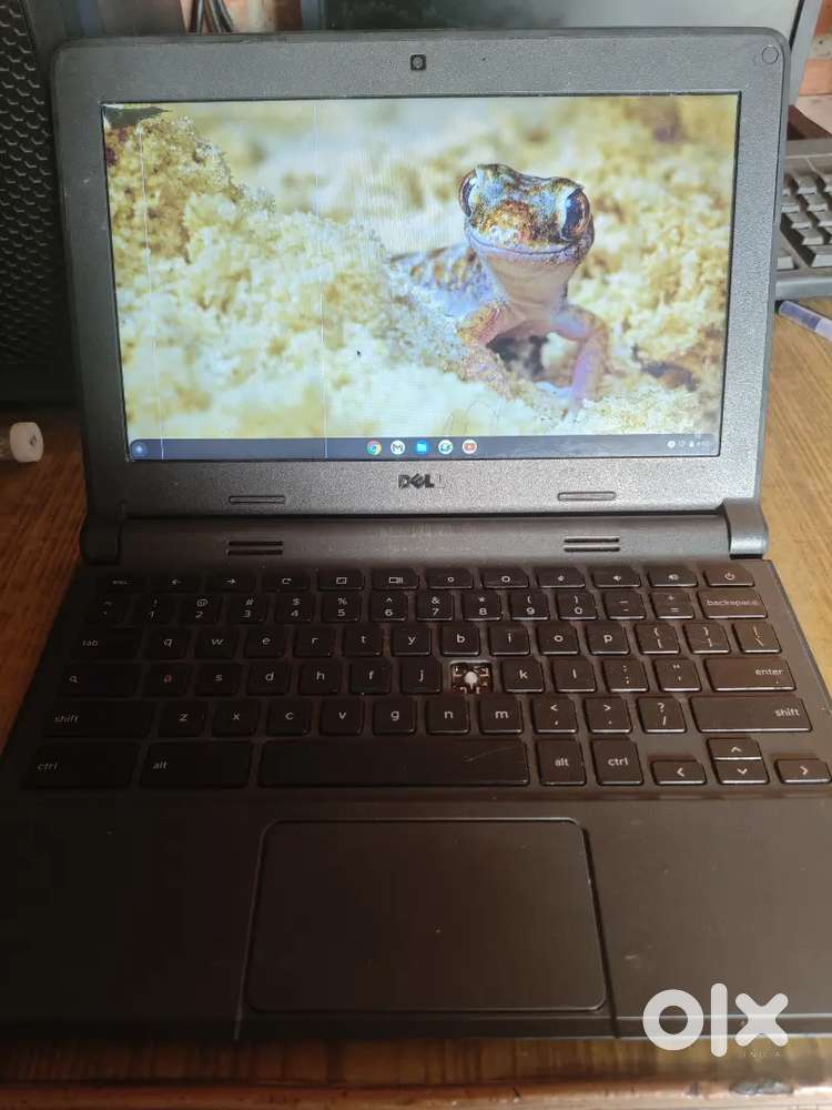 Dell chromebook