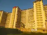 3 bhk flat for rent