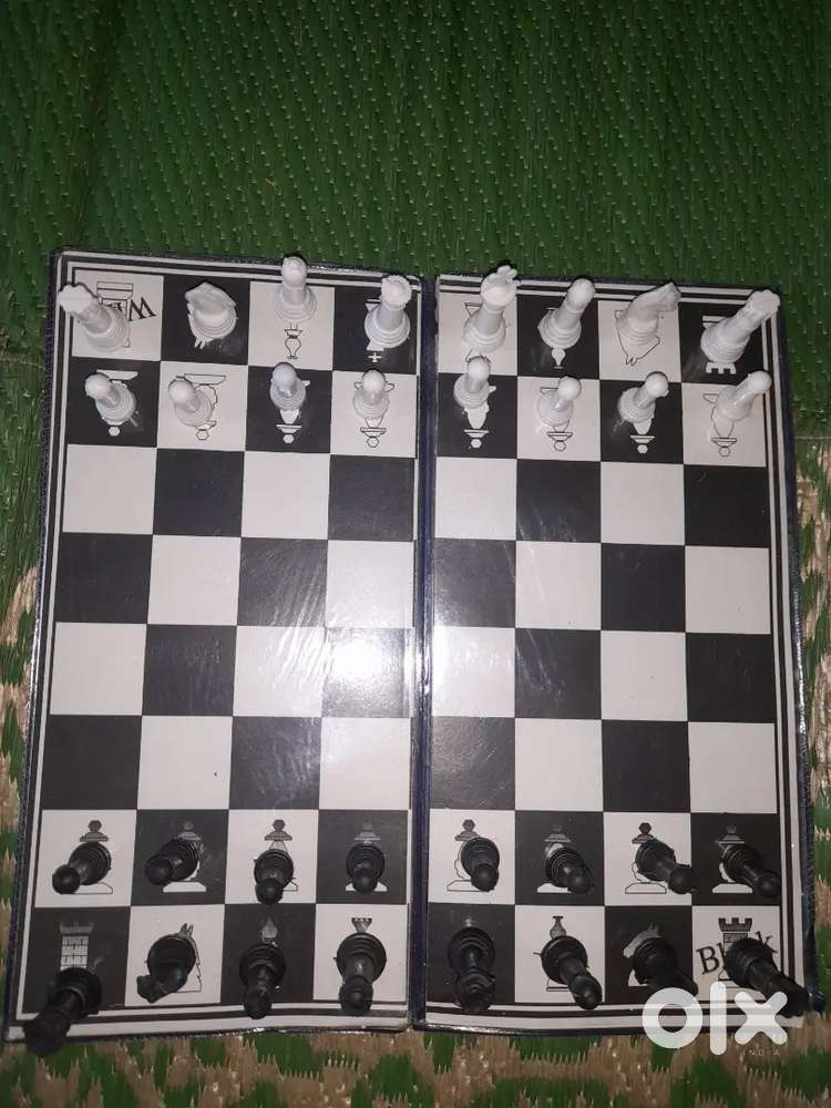 Chess chess for kids playing