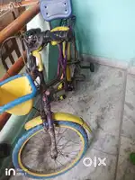 Duraman Bicycle (2-year Old)