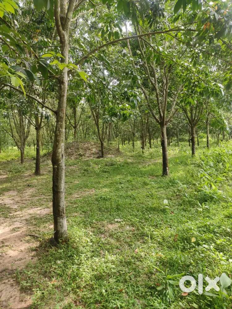 Residential plot at Ghonivi at ₹ 40 per sq ft.