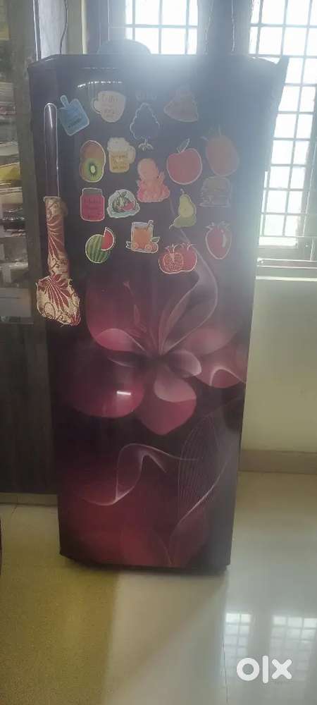 Lg refrigerator