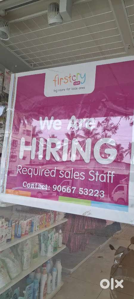 Sales executive (Boys and Girls)